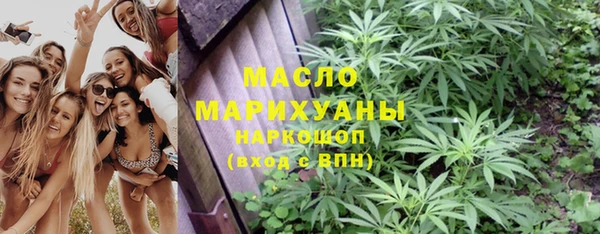 молекула духа Богородицк