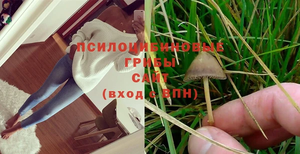 MDMA Premium VHQ Богданович