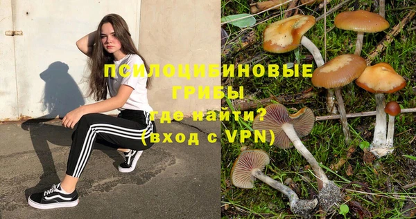 бошки Бугульма