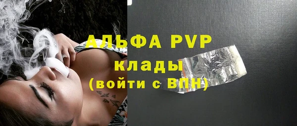 молекула духа Богородицк