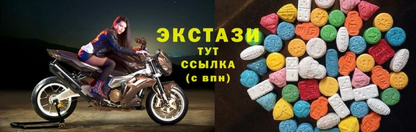 молекула духа Богородицк