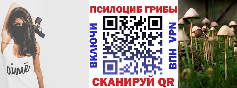 Галлюциногенные грибы Psilocybe  Дятьково 